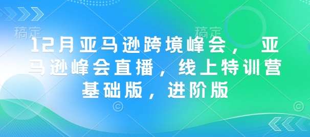12月亚马逊跨境峰会， 亚马逊峰会直播，线上特训营基础版，进阶版-问小徐资源库