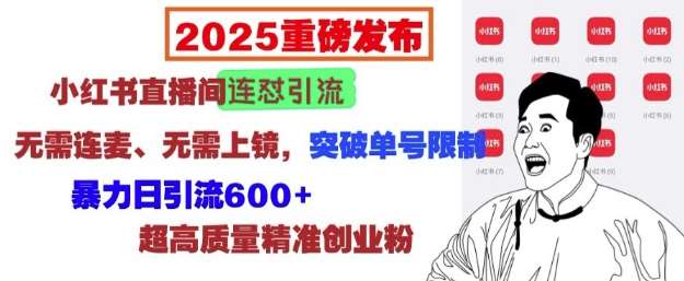 2025重磅发布：小红书直播间连怼引流，无需连麦、无需上镜，突破单号限制，暴力日引流600+-问小徐资源库