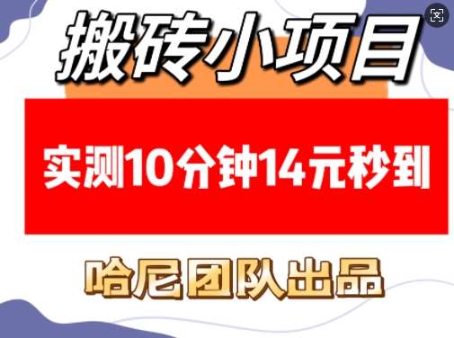 搬砖小项目，实测10分钟14元秒到，每天稳定几张(赠送必看稳定)-问小徐资源库