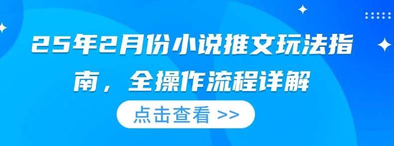 25年2月份小说推文玩法指南，全操作流程详解-问小徐资源库