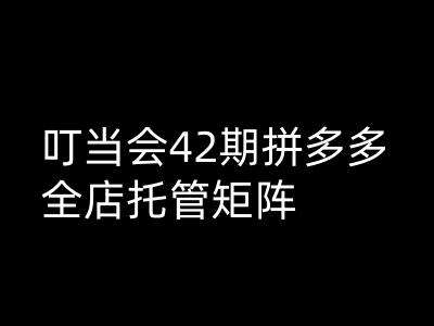 叮当会拼多多打爆班原创高阶技术第42期，拼多多全店托管矩阵-问小徐资源库