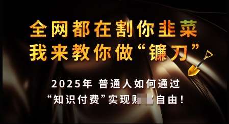 知识付费如何做到月入过W+，2025我来教你做“镰刀”【揭秘】-问小徐资源库