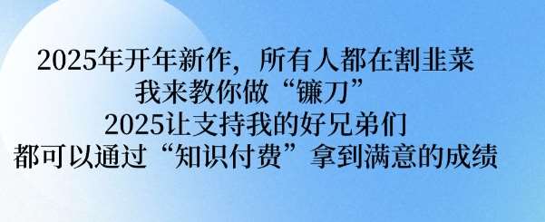 2025年开年新作，所有人都在割韭菜，我来教你做“镰刀” 2025让支持我的好兄弟们都可以通过“知识付费”拿到满意的成绩【揭秘】-问小徐资源库