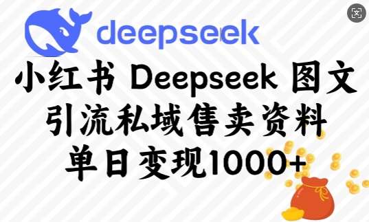 小红书Deepseek图文引流私域售卖资料，单日变现多张-问小徐资源库