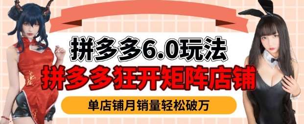 拼多多虚拟商品暴利6.0玩法，轻松实现月入过W-问小徐资源库