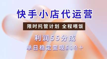 快手小店代运营，限时托管计划，收益55分，单日稳定变现多张【揭秘】-问小徐资源库