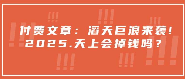 付费文章：滔天巨浪来袭！2025天上会掉钱吗？-问小徐资源库