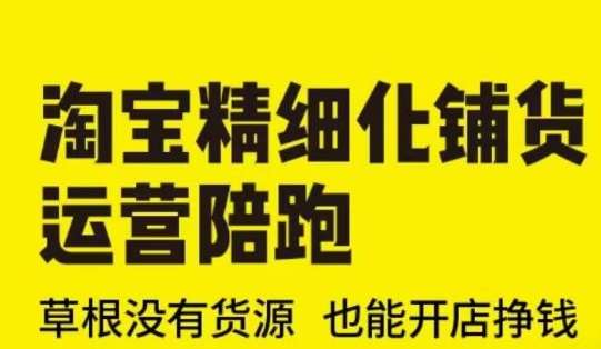 淘宝精细化铺货运营陪跑(部分更新至2025)，草根没有货源 也能开店挣钱-问小徐资源库