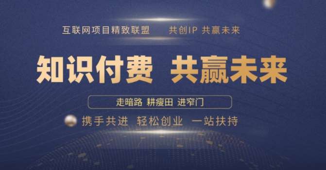 别人苦寻无果，为何他们靠知识付费卖项目 2025 年轻松年入100个?【揭秘】-问小徐资源库