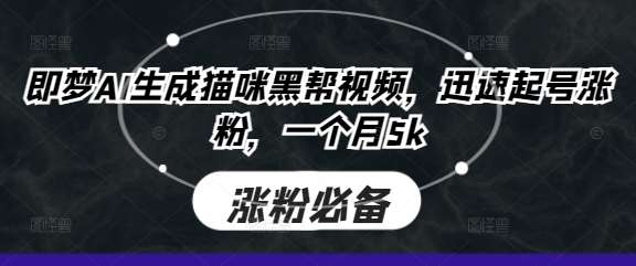 即梦AI生成猫咪黑帮视频，迅速起号涨粉，一个月5k-问小徐资源库