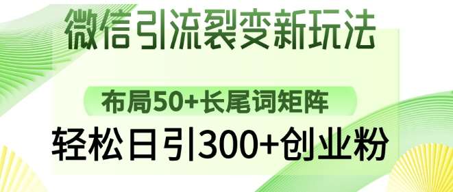 微信引流裂变新玩法：布局50+长尾词矩阵，轻松日引300+创业粉-问小徐资源库