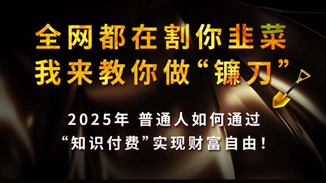 全网都在割你韭菜，我来教你做镰刀,2025普通人如何通过知识付费，实现财F自由【揭秘】-问小徐资源库