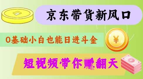 最新京东短视频带货代运营秘籍，轻松躺挣【揭秘】-问小徐资源库