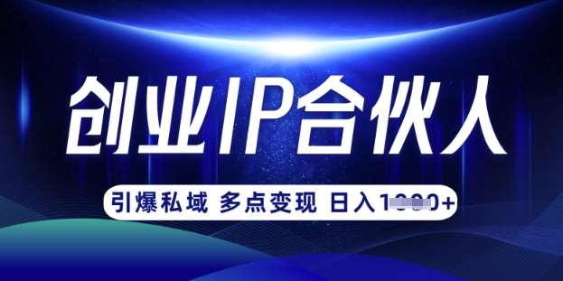 云帆·创业ip合伙人打造3.0，从0到1教你做网创，实现月入过W-问小徐资源库