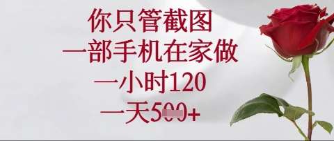你只管截图，一部手机在家操作，一小时120.一天5张【揭秘】-问小徐资源库