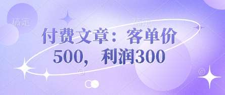 付费文章：客单价500，利润300-问小徐资源库