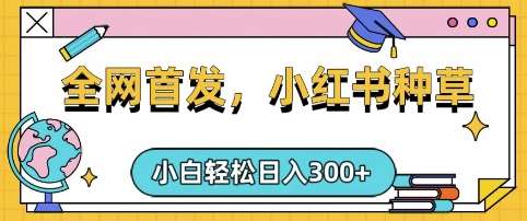 小红书种草，手机项目，日入3张，复制黏贴即可，可矩阵操作，动手不动脑【揭秘】-问小徐资源库