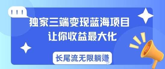 独家三端变现蓝海项目，让你收益最大化，长尾流无限躺挣-问小徐资源库
