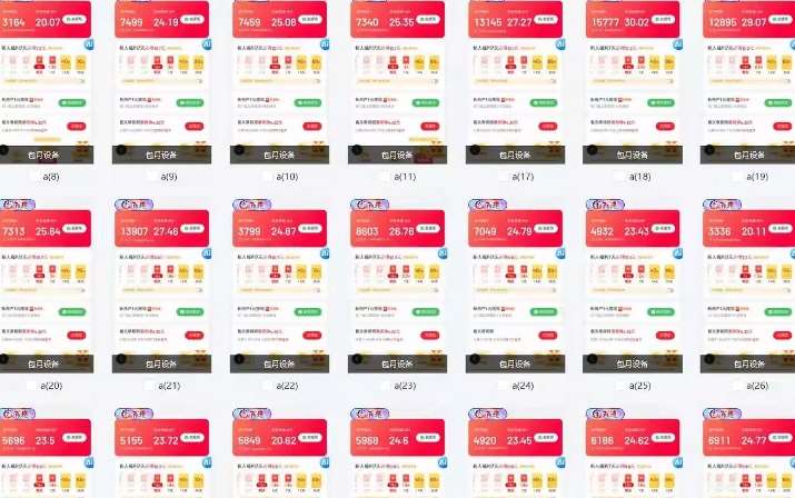 图片[2]-25年最新项目批量操作，小白也能轻松月入过W，可无限放大【揭秘】-问小徐资源库