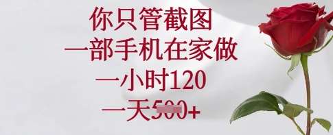 你只管截图，一部手机在家做，一小时120.一天5张【揭秘】-问小徐资源库