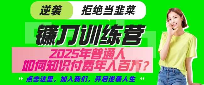 【网创项目终点站-镰刀训练营超级IP合伙人】25年普通人如何通过知识付费实现逆袭【揭秘】-问小徐资源库