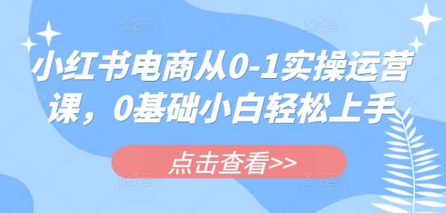 小红书电商从0-1实操运营课，0基础小白轻松上手-问小徐资源库