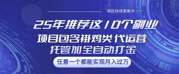 25年推荐这10个副业项目包含褂鸡类、代运营托管类、全自动打金类【揭秘】-问小徐资源库
