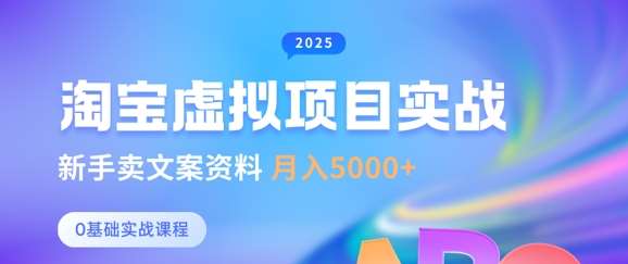 淘宝虚拟项目垂直玩法，新手卖文案资料，月入5k+-问小徐资源库