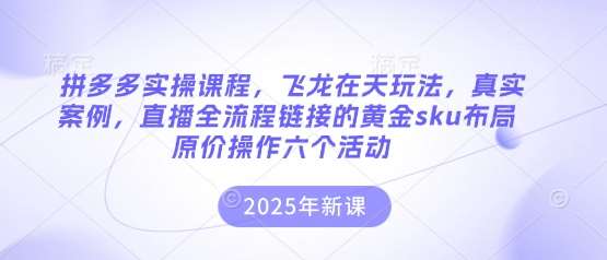 拼多多实操课程，飞龙在天玩法，真实案例，直播全流程链接的黄金sku布局原价操作六个活动-问小徐资源库