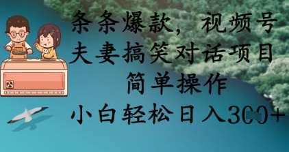 条条爆款，视频号夫妻搞笑对话项目，简单操作，小白轻松日入3张+-问小徐资源库