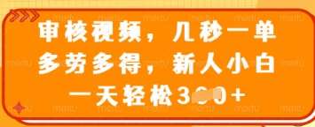 审核视频，几秒一单，多劳多得，新人小白一天轻松3张【揭秘】-问小徐资源库