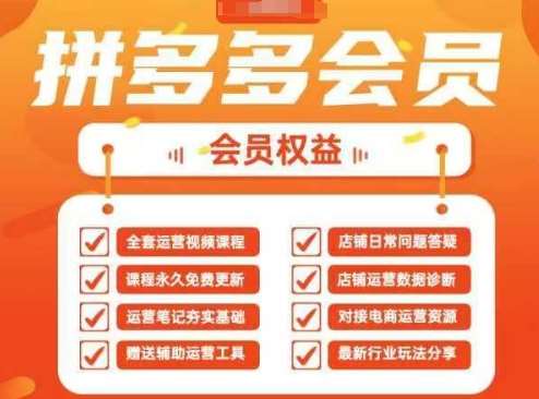 2025拼多多运营实战课，40节全流程教学，覆盖拼多多运营全链路-问小徐资源库