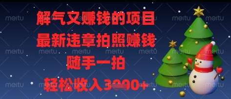 解气又挣钱的项目，最新违章拍照挣钱，随手一拍，轻松收入多张【揭秘】-问小徐资源库