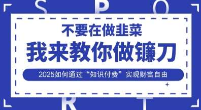 韭菜生涯终结者，我来教你做镰刀，2025如何通过“知识付费”实现财F自由【揭秘】-问小徐资源库