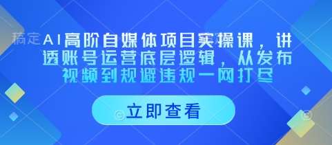 AI高阶自媒体项目实操课，讲透账号运营底层逻辑，从发布视频到规避违规一网打尽-问小徐资源库