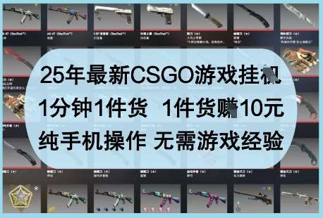 25年最新CSGO游戏挂G，1分钟1件货，1件货挣10元，纯手机操作，无需游戏经验【揭秘】-问小徐资源库