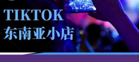 Tiktok东南亚跨境小店运营班，一门专业的TK小店运营培训课-问小徐资源库
