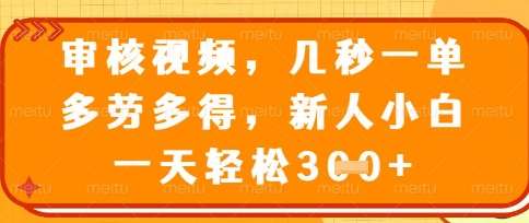 最新审核视频，几秒一单，多劳多得，新人小白一天轻松3张【揭秘】-问小徐资源库