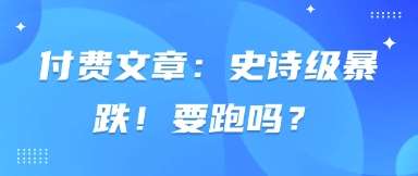 付费文章：史诗级暴跌！要跑吗？-问小徐资源库