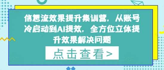 信息流效果提升集训营，从账号冷启动到AI提效，全方位立体提升效果解决问题-问小徐资源库
