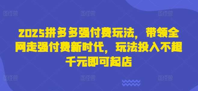 2025拼多多强付费玩法，带领全网走强付费新时代，玩法投入不超千元即可起店-问小徐资源库