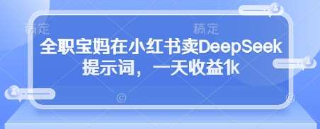 全职宝妈在小红书卖DeepSeek提示词，一天收益1k-问小徐资源库