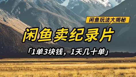 闲鱼卖纪录片1单3块钱，1天几十单，项目稳定有潜力-问小徐资源库