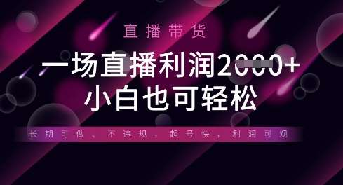 半无人直播带货，一场利润数张，适合所有平台玩法，小白也可轻松-问小徐资源库