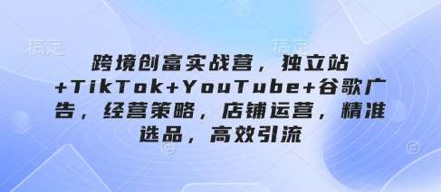 跨境创富实战营，独立站+TikTok+YouTube+谷歌广告，经营策略，店铺运营，精准选品，高效引流-问小徐资源库