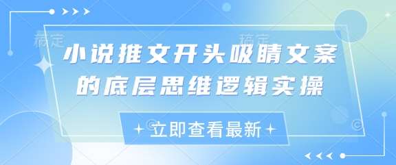小说推文开头吸睛文案的底层思维逻辑实操-问小徐资源库