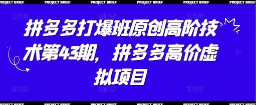 拼多多打爆班原创高阶技术第43期，拼多多高价虚拟项目-问小徐资源库