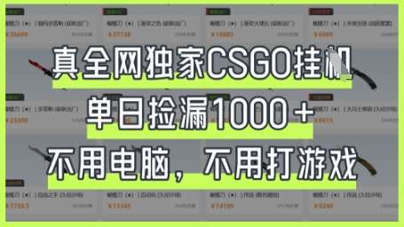 真全网独家CSGO挂G，单日捡漏1k+【揭秘】-问小徐资源库