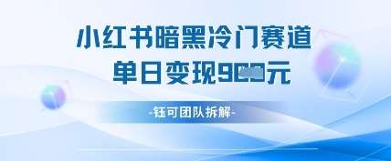 小红书冷门”暗黑”赛道，单日收益多张-问小徐资源库