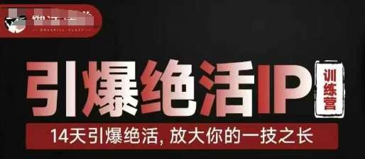 引爆绝活IP训练营，14天引爆绝活，放大你的一技之长-问小徐资源库